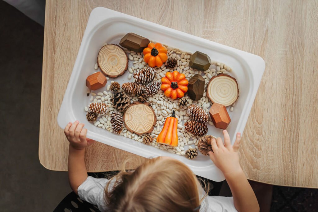 Nature Sensory Tray