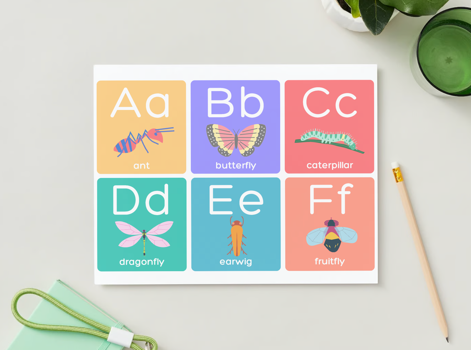 A to Z Insects Alphabet Flash Cards